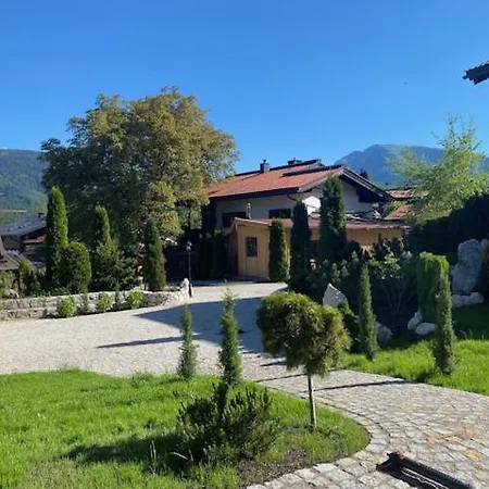 Ferienhaus Vogelnest Am Waldbach Reit im Winkl